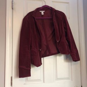 white house black market jacket